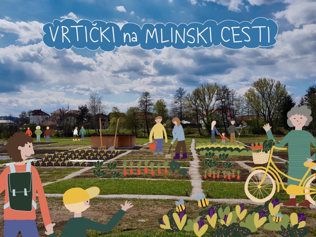 Na Ptuju z občino spodbujamo skupnostno vrtičkanje