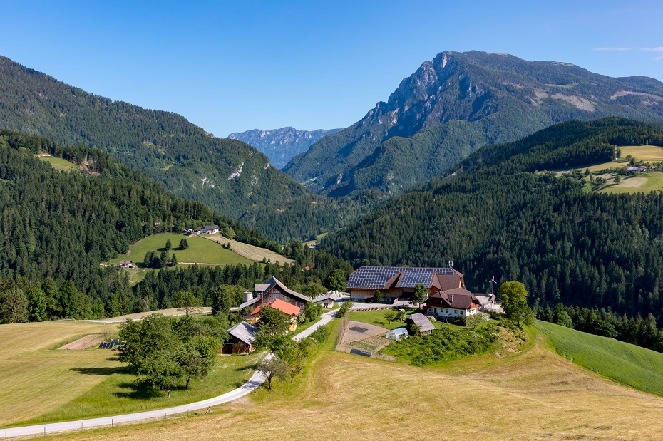 energetska skupnost luče