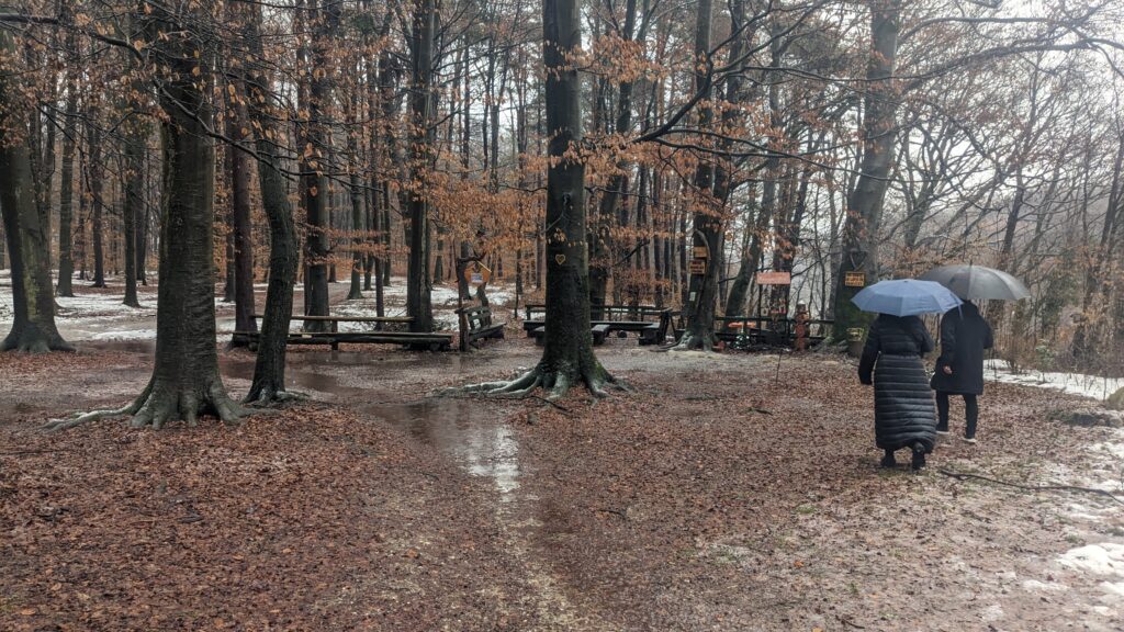 gozd Stražun