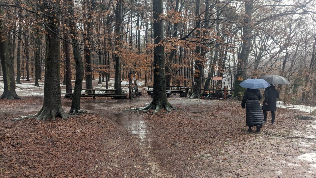 gozd Stražun