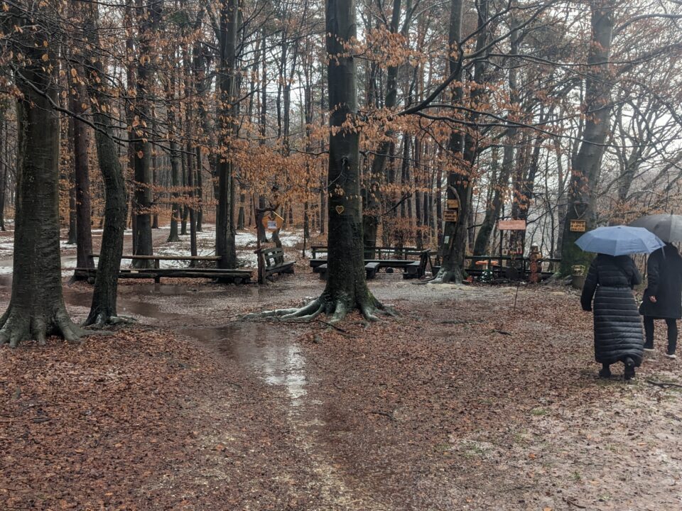 gozd Stražun