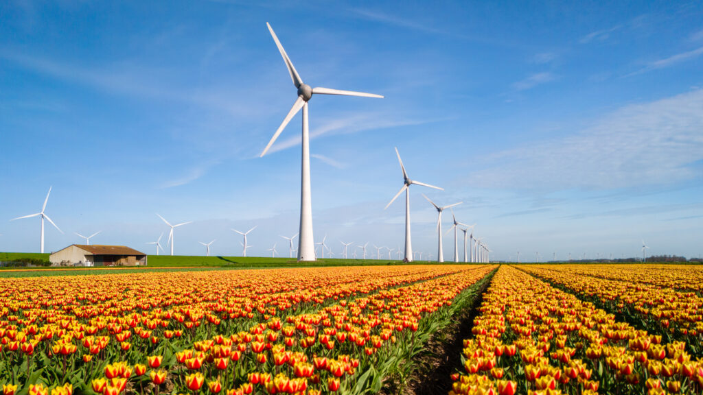Obnovljivi viri energije in energetske skupnosti na Nizozemskem